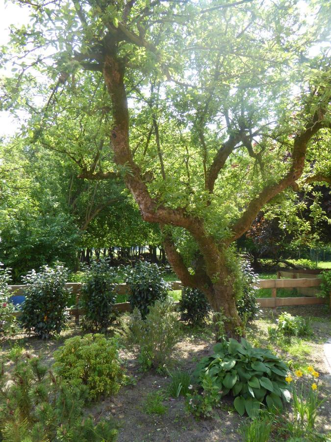 Ferienwohnung Elise Im Gulfhof Am Kanal Grossefehn ภายนอก รูปภาพ